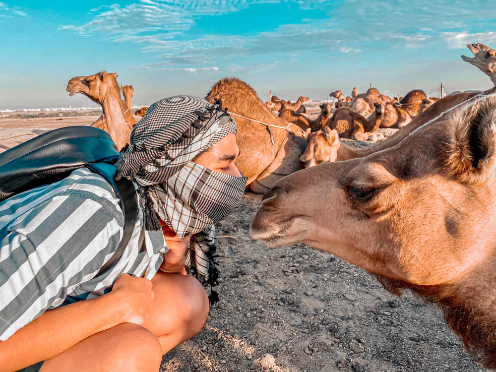 kiss-desert-with-camel